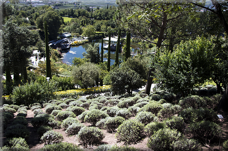 foto Giardini Trauttmansdorff - Giardini del Sole